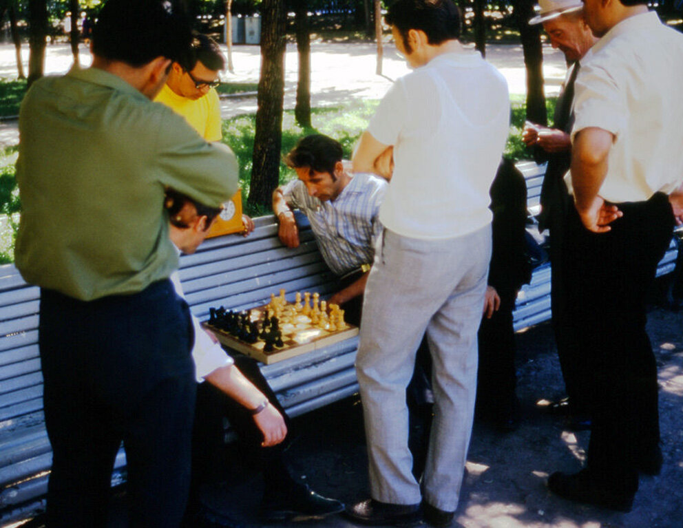 Фотография из Яндекса Картинки