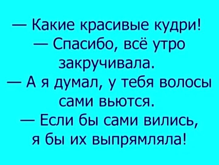 Анекдоты про кудрявые волосы. Кудряшка прикол. Кудри прикол. Прямые волосы юмор.