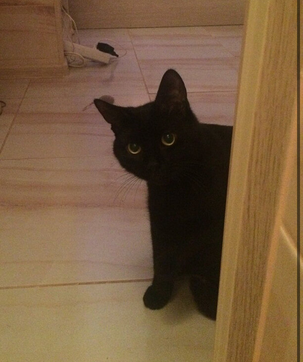 Феликс подглядывает