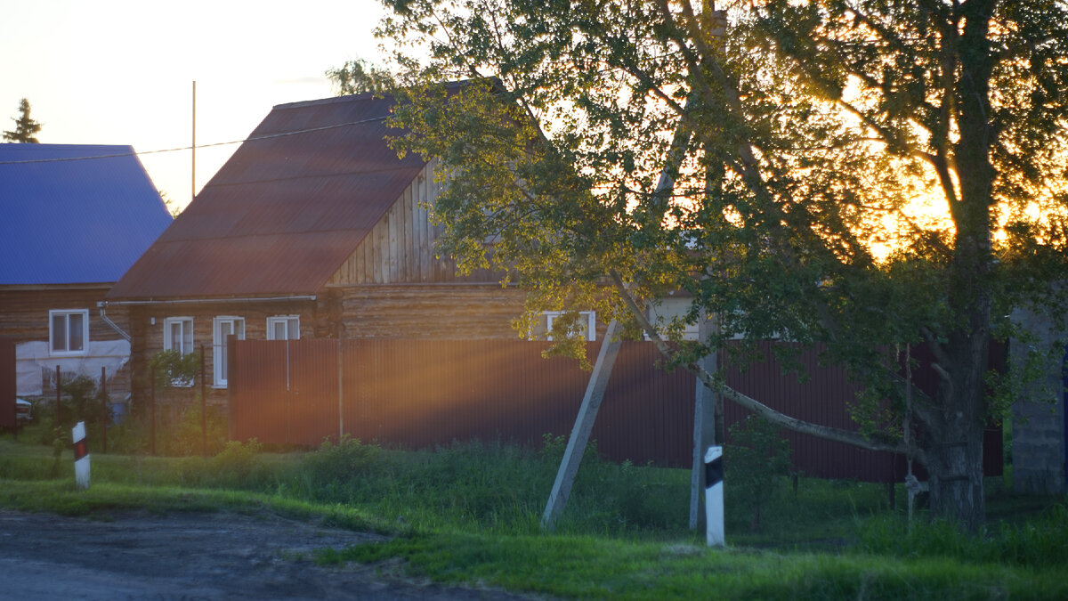 Железный забор на нашем участке со стороны дороги. 