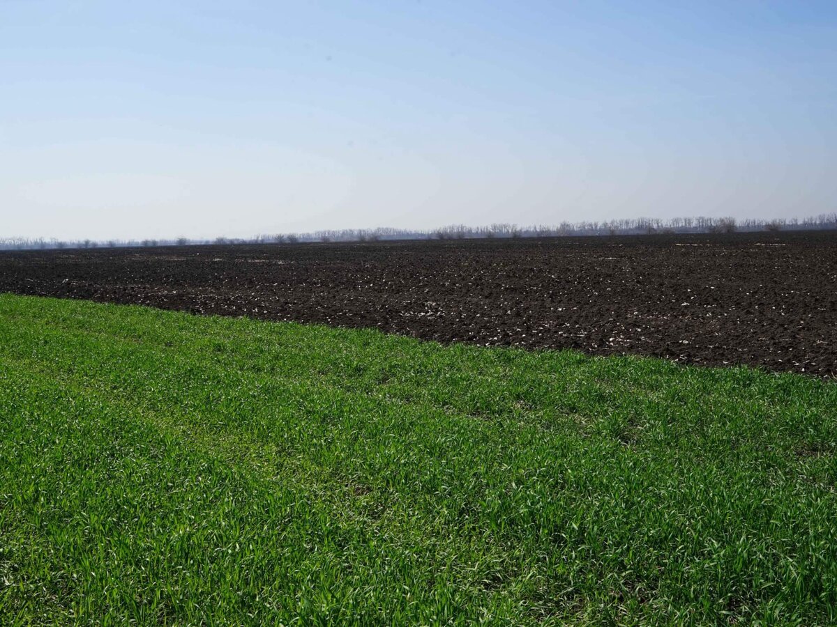 строение профиля почвы чернозема оподзоленного. почвы степи. торф грунт. чернозем почвоведение. чернозем валом.