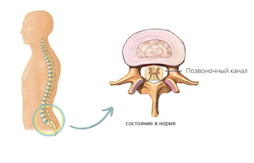 Источник: Яндекс. Картинки