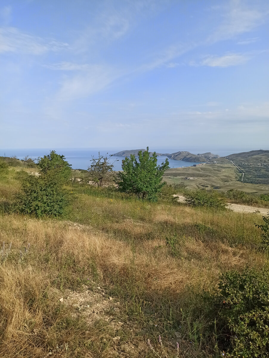 Личное фото автора