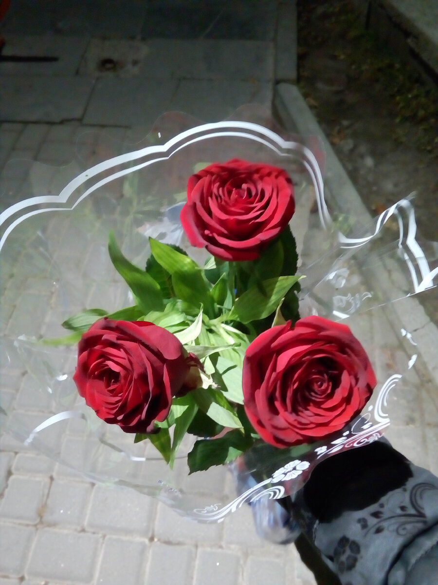 Вот так, бывало, в городе идешь домой с работы через парк, а тебе цветы просто так подарят) Приятно)