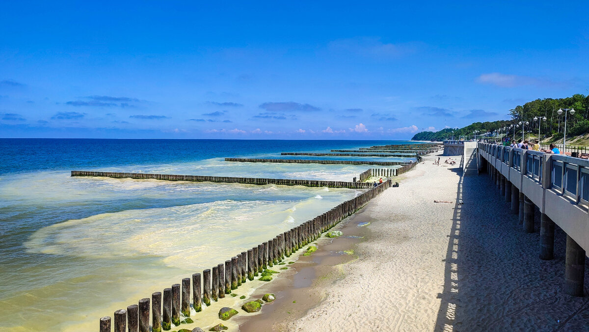 Светлогорск