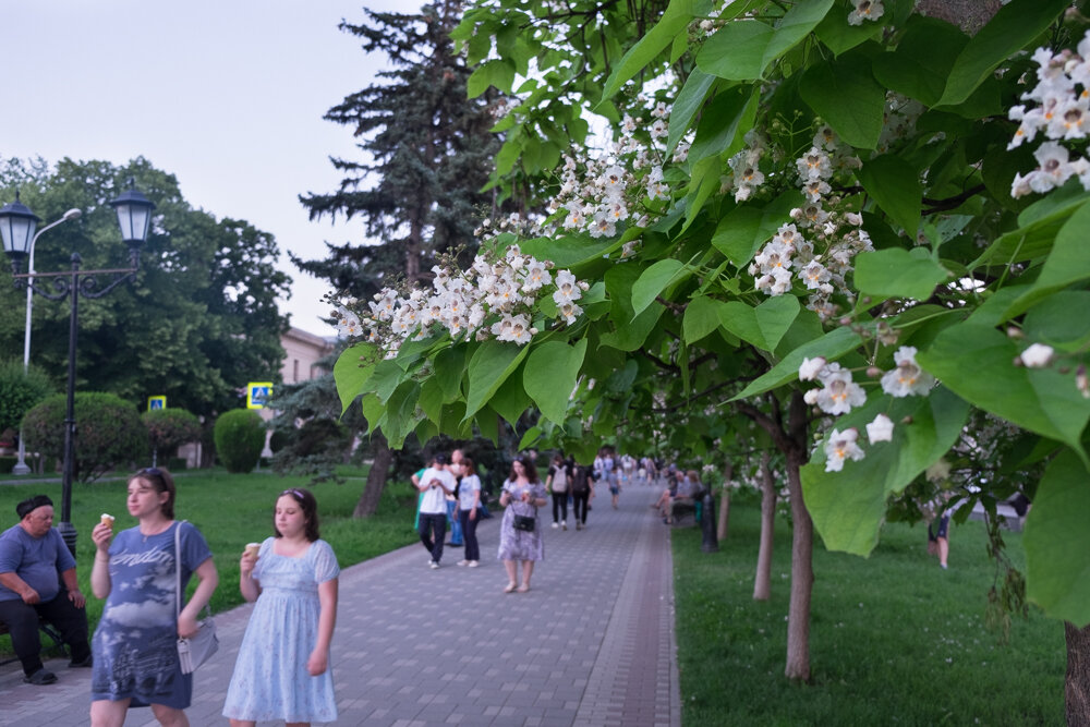 Проспект Кирова у парка "Цветник" в Пятигорске