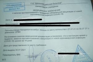 моя справка