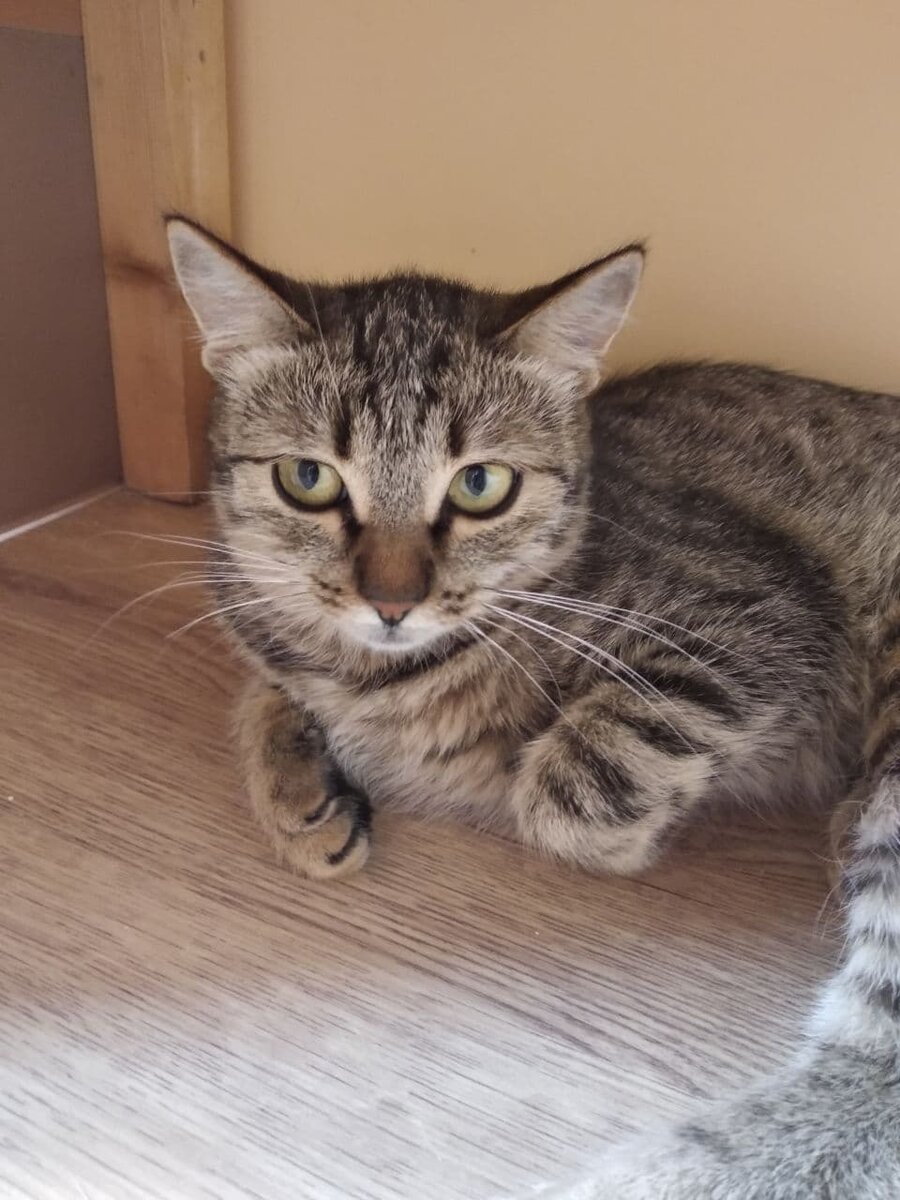 Фотографии Леи