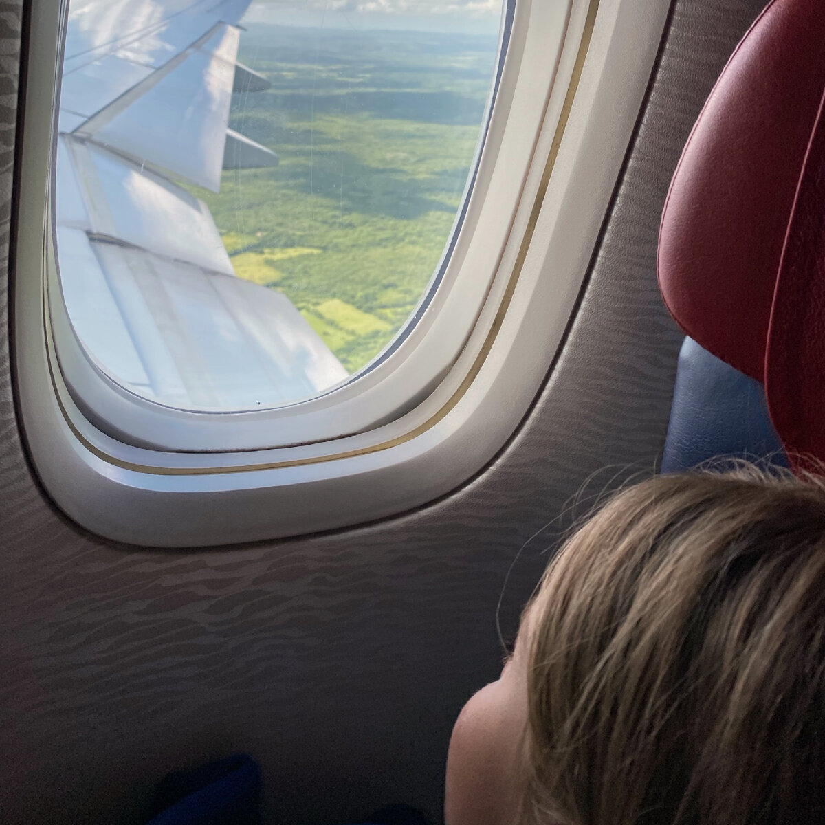 Вид из окна