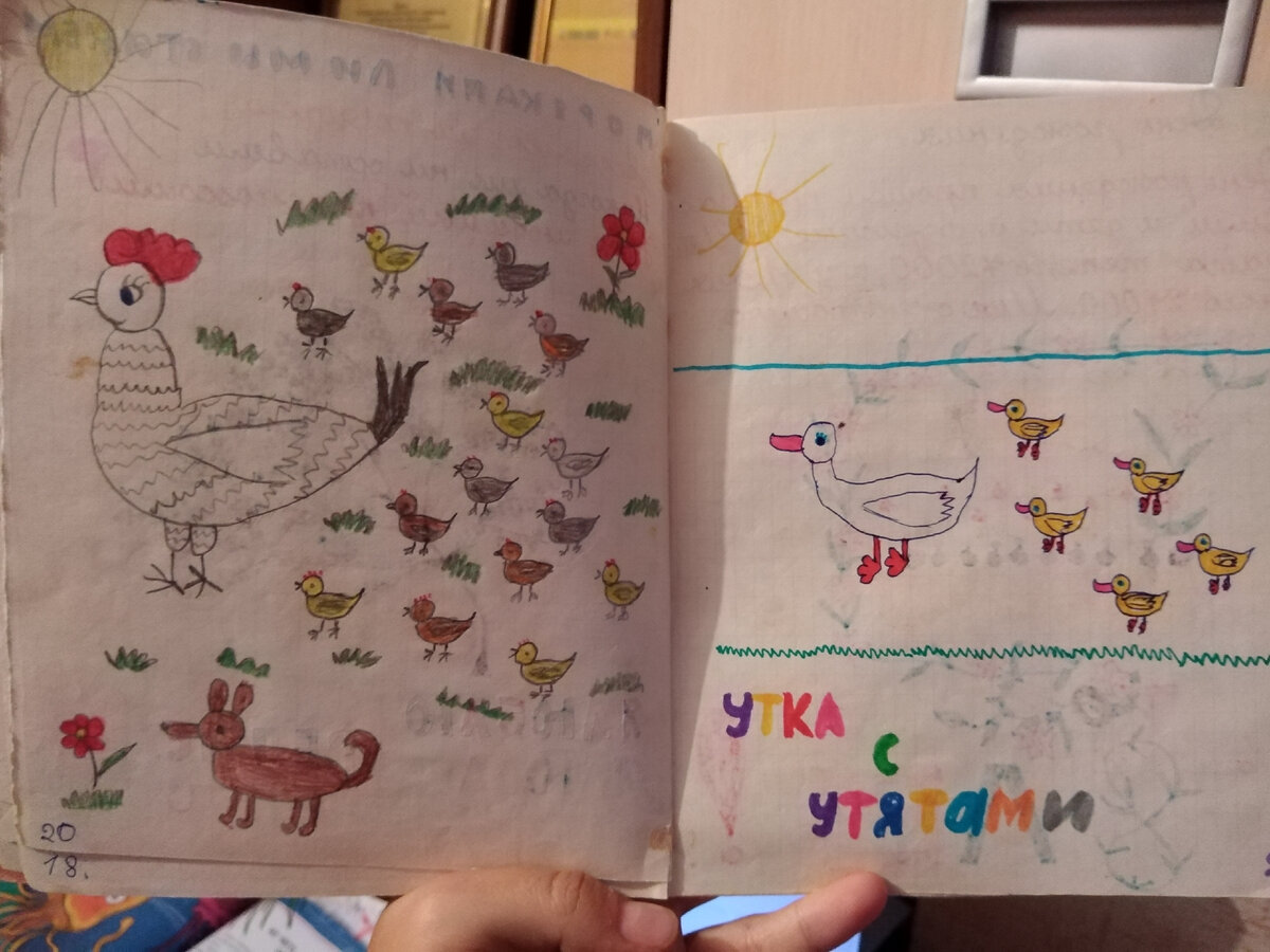 Птица домашняя