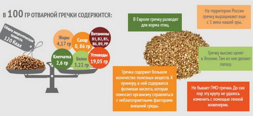 хорошая схемка к вопросу о пользе гречневой каши (фото Яндекс.картинки)