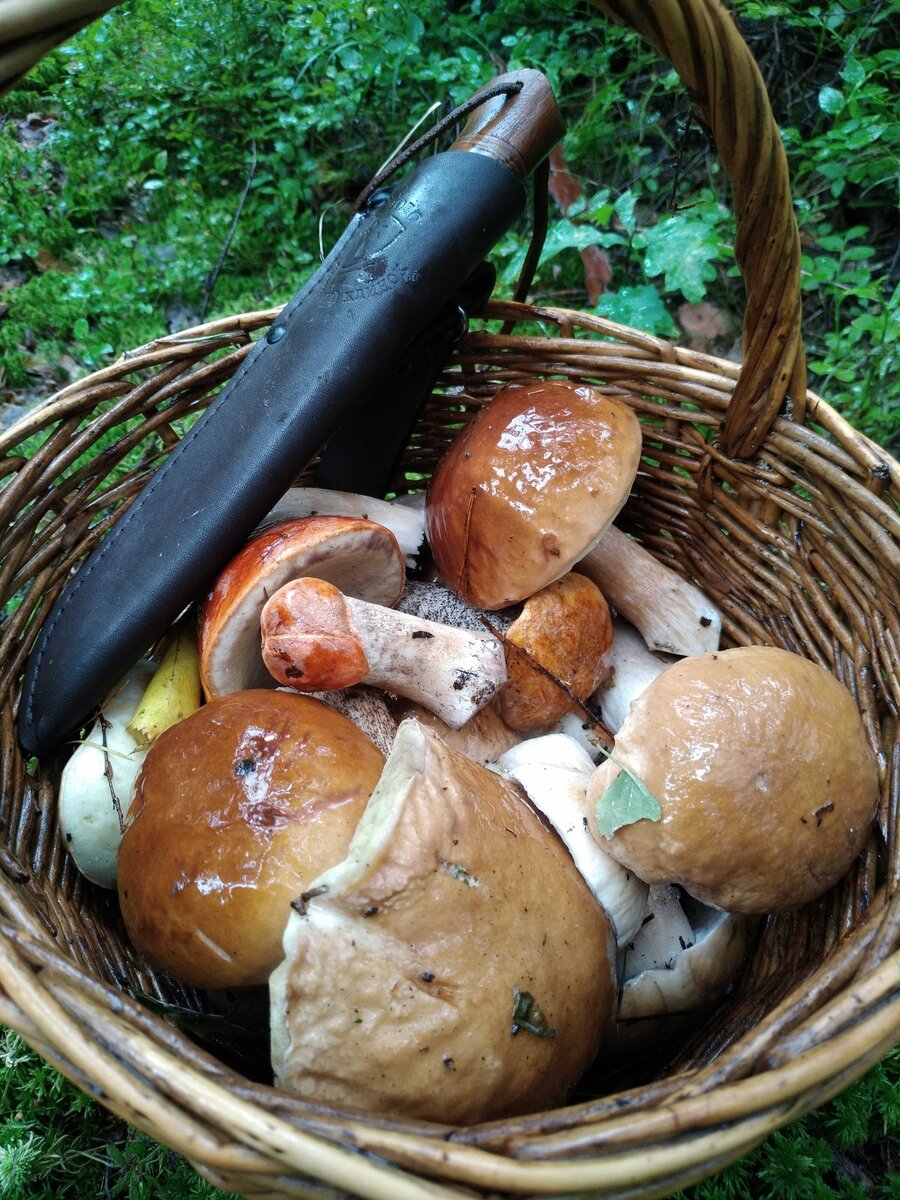 Вот один из "урожаев".