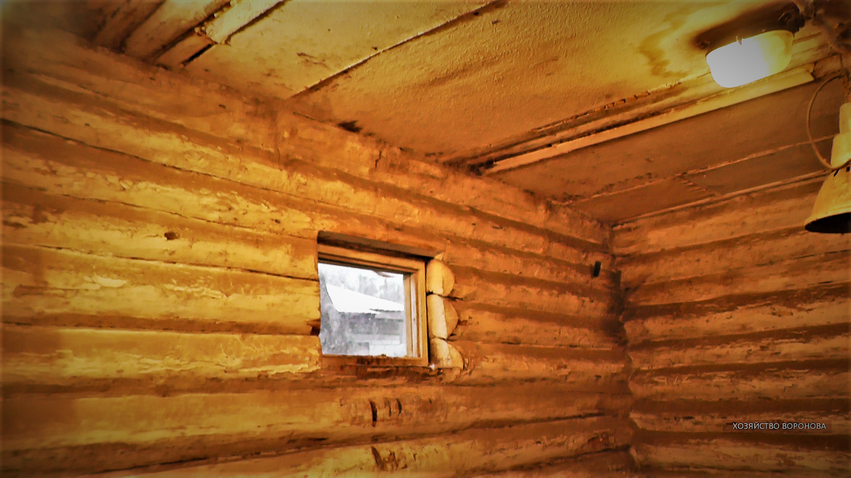 Свет в курятнике