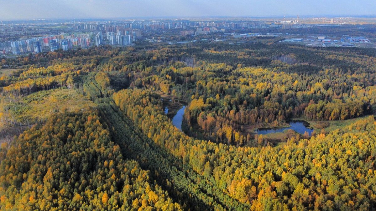 Пейзажный парк красногвардейский район проект