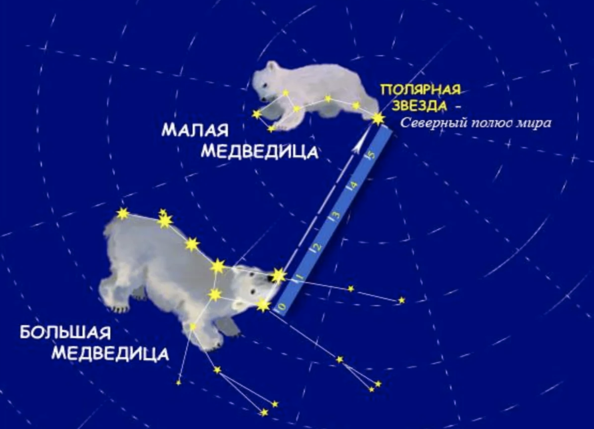 Как выглядит созвездие белой медведицы