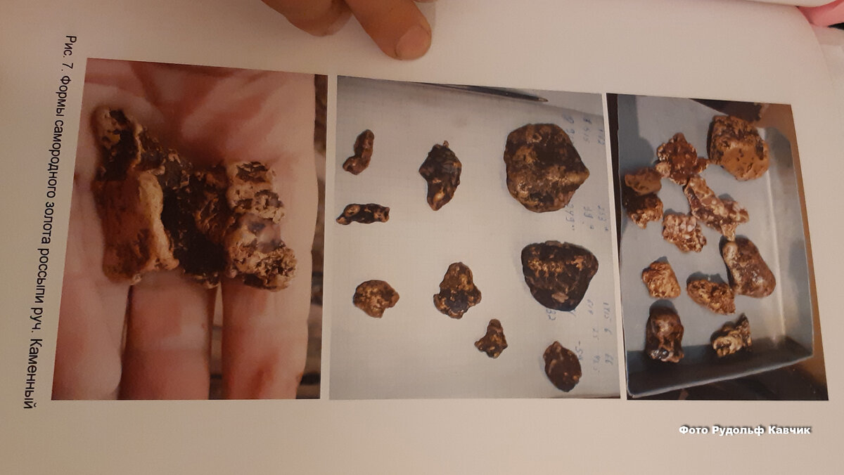 Самородное золото россыпи ручья Каменистый. 