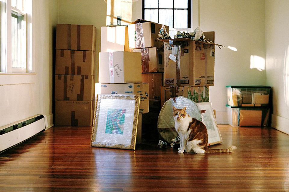 cat4you.ru