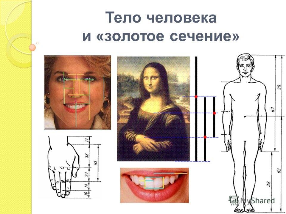 Индивидуальный проект золотое сечение