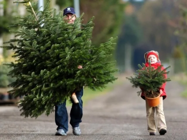 Фото из свободных источников