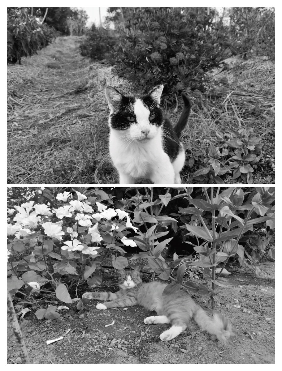 Фотография сделана автором канала