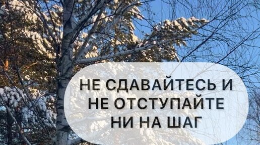 Не отступил ни на шаг