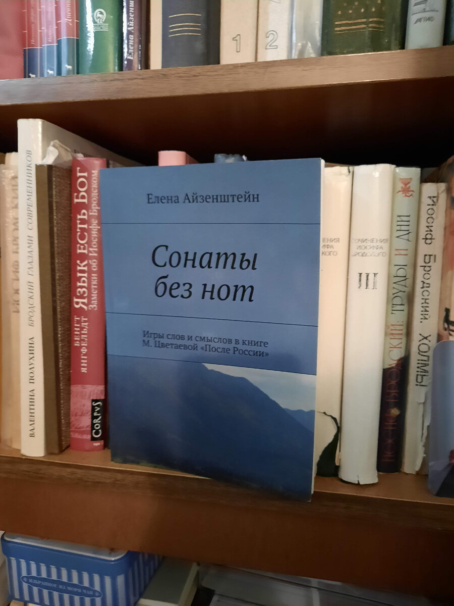 Книга о сборнике М. Цветаевой "После России". 