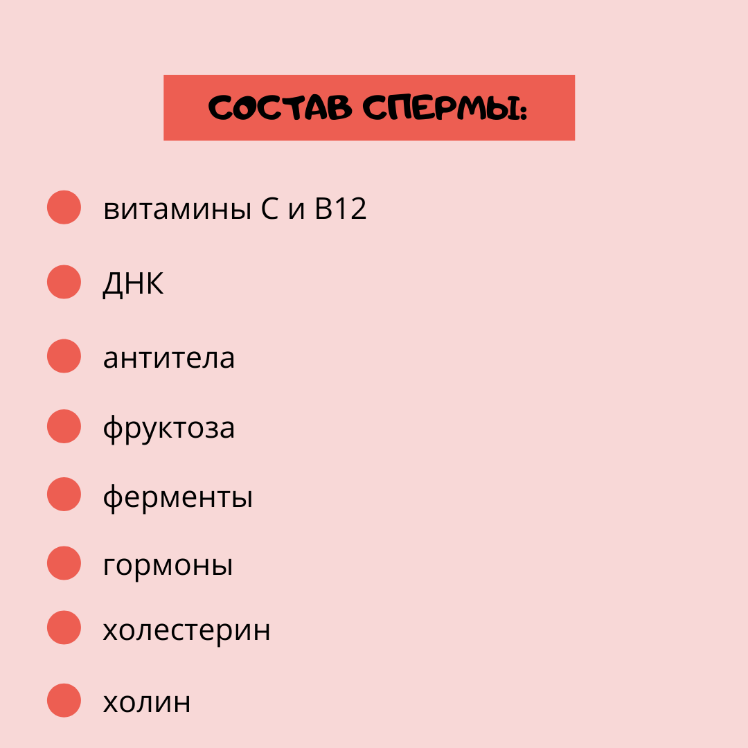 В состав эякулята входят сперматозоиды (до 10%), секрет простаты (около 30%), и содержимое семенных пузырьков (примерно 60%). Выделения простаты богаты веществами, которые питают половые клетки. Без них сперматозоиды не могут активно передвигаться и быстро погибают. 