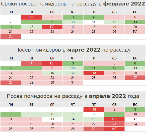 Дни для пересадки томатов в марте 2024