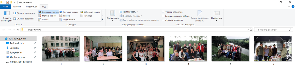 Рис. 1. Выбор вида и размера значков файлов
