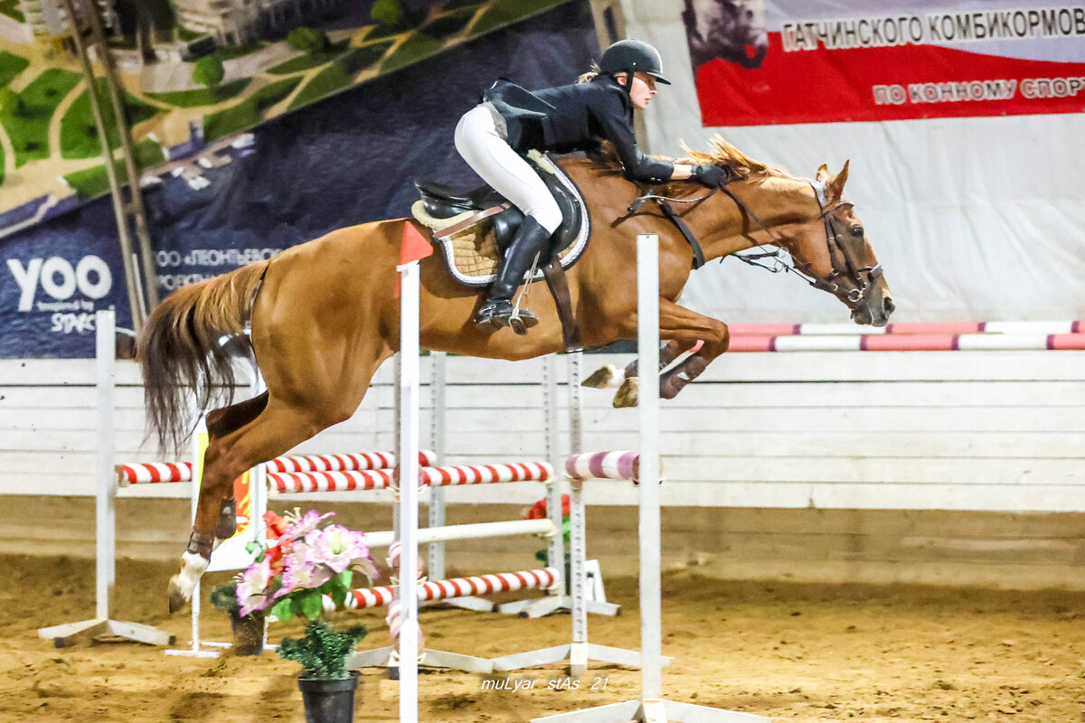 Соревнования по конкуру.