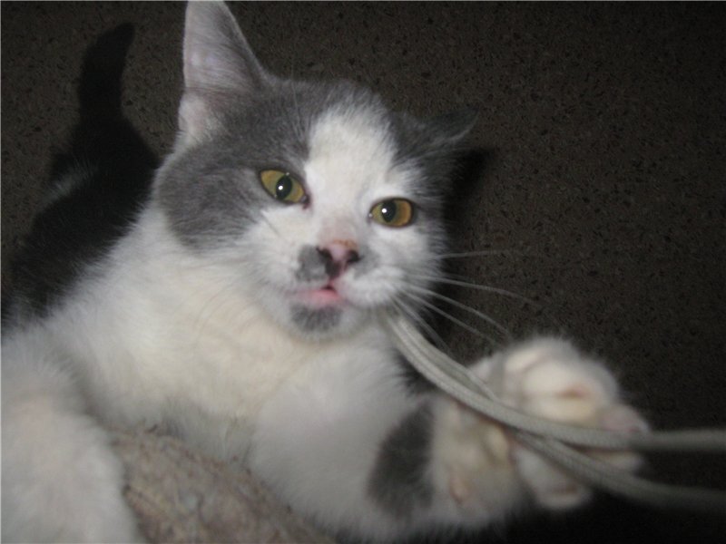 На передержке