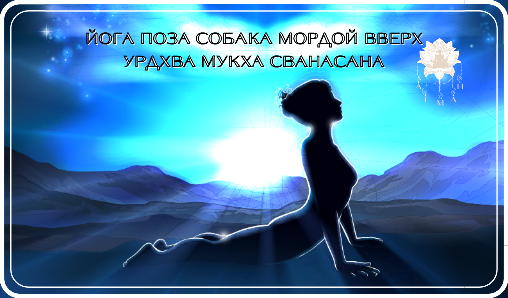 Поза собака мордой вверх
