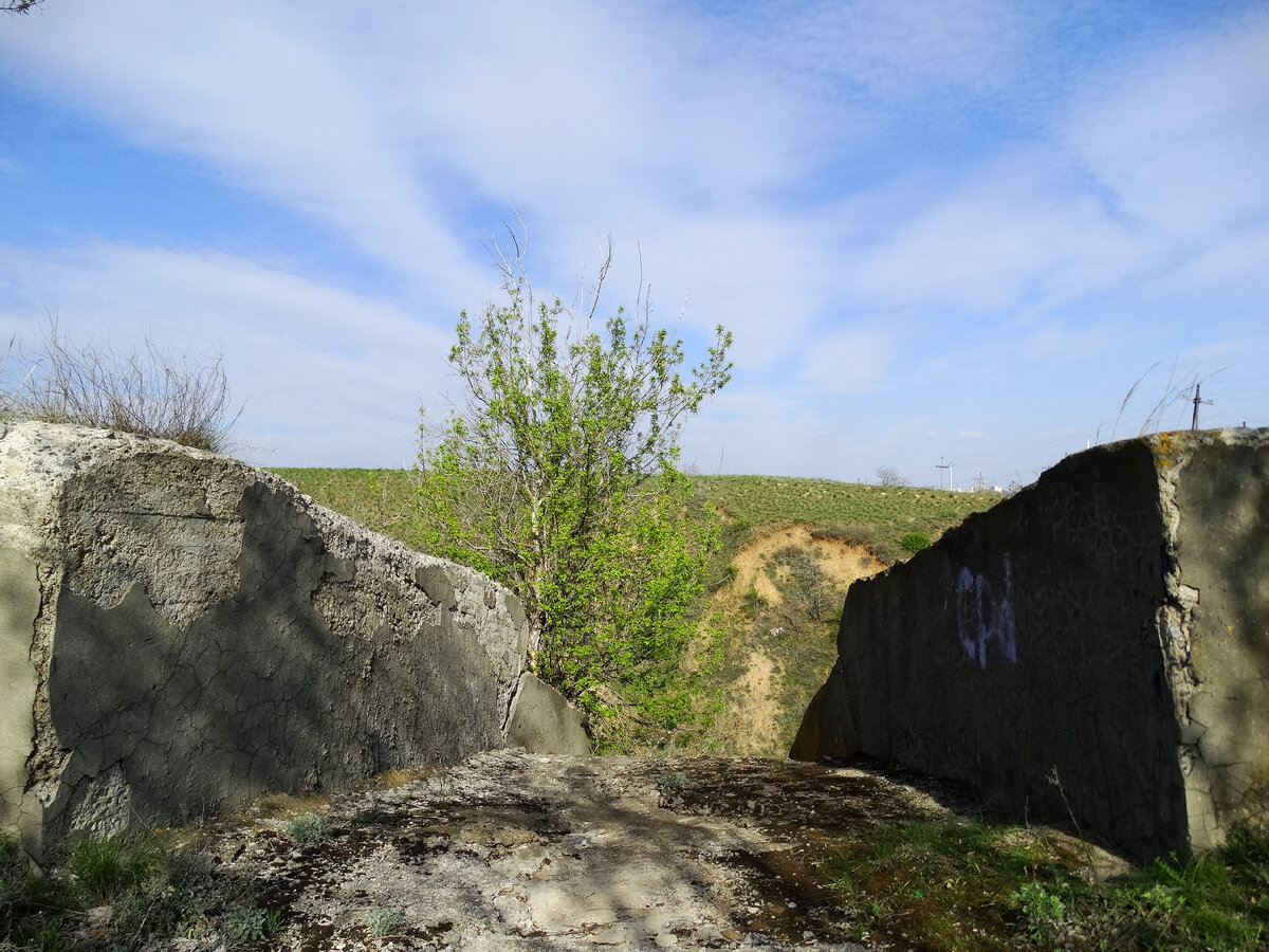 Соленый овраг село воскресенка. Антоновские овраги. Овраг в Приморье. Камень Мажаевского оврага. Овраги Крыма.