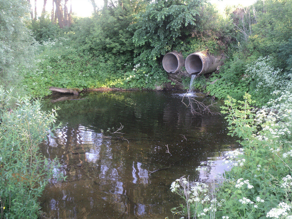 Фото автора канала