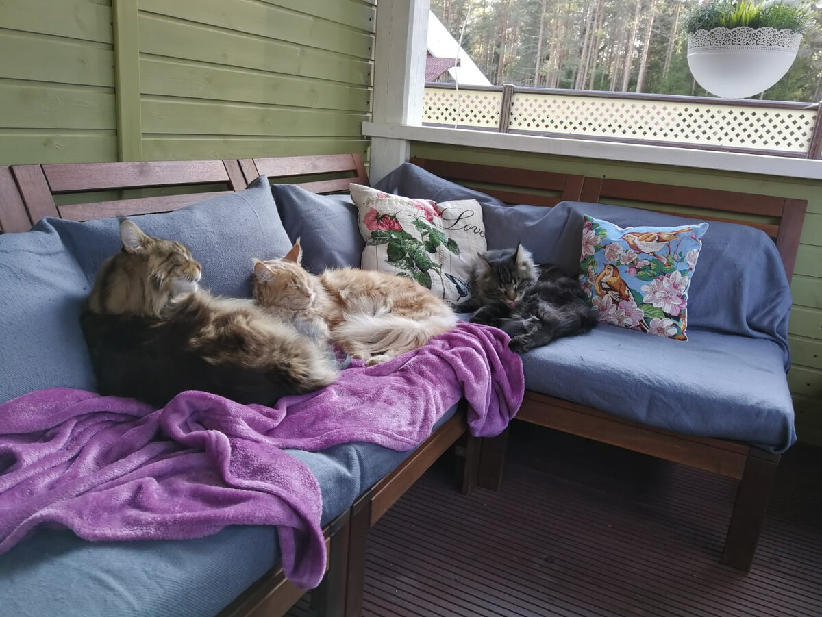 Фото из личного архива.