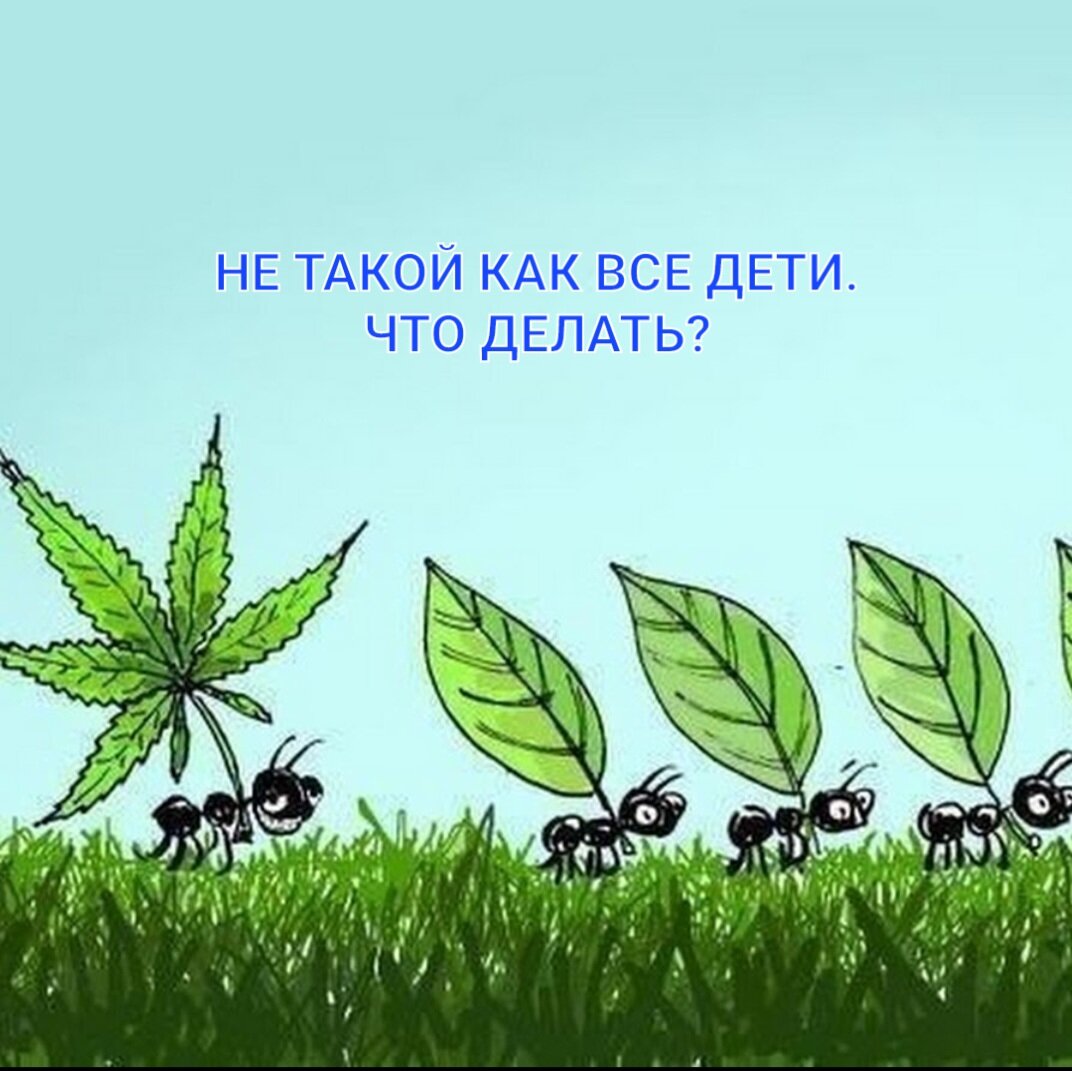 картинка из ватсапа