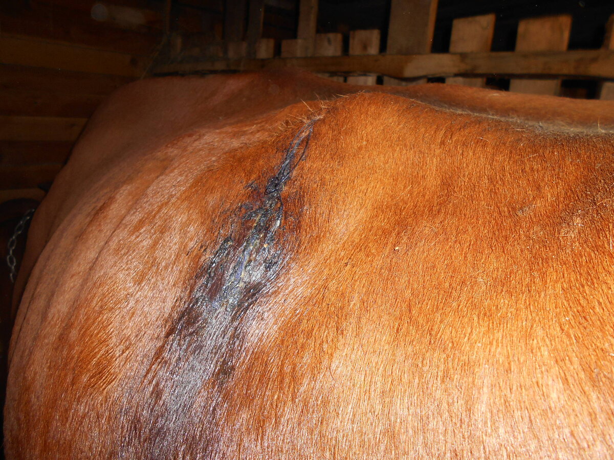 После обработки