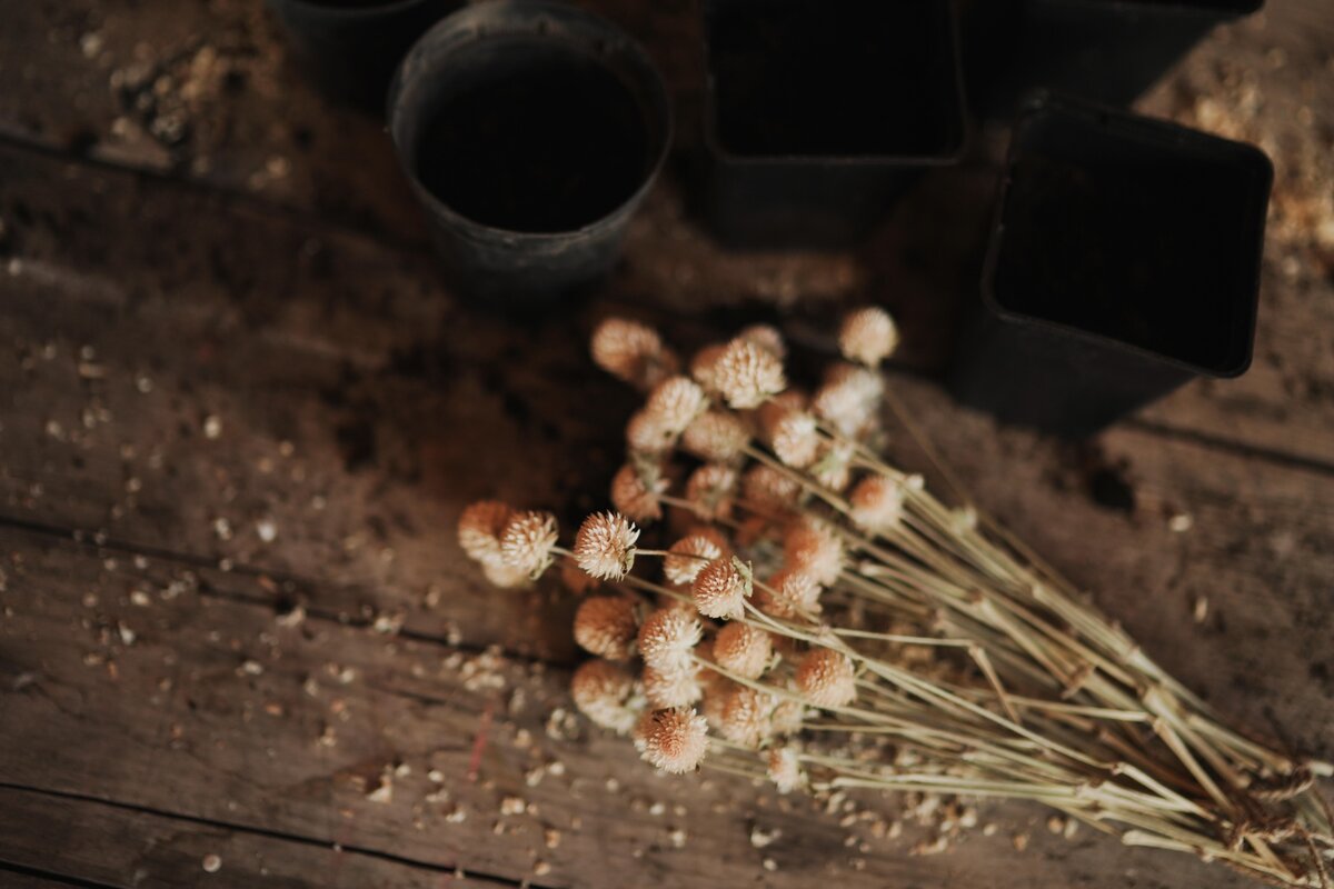 Фото Беличевой Варвары 