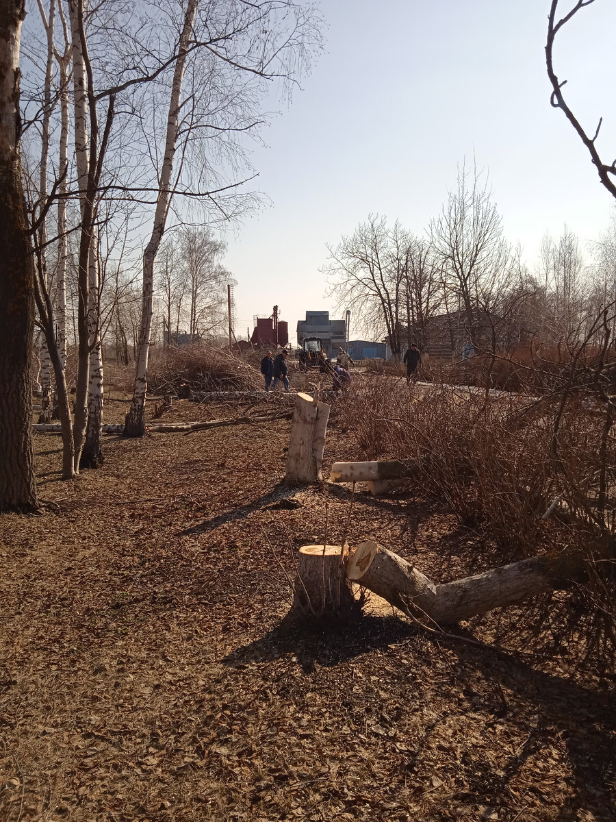 Это на работе, будет новый парк