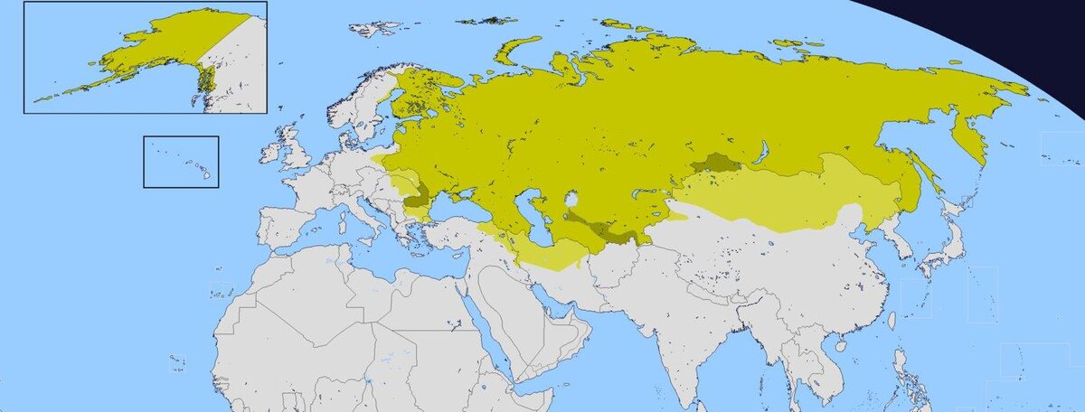 Фото Яндекс картинки