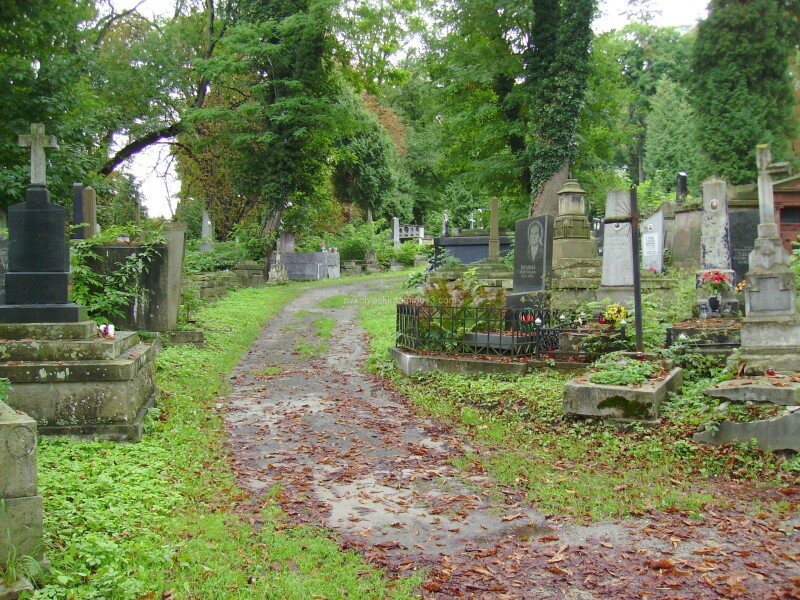 Изменение сайт картинки https://goo.su/MDxVre