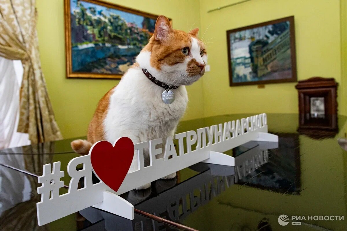 Каждый раз на спектаклях — аншлаг.