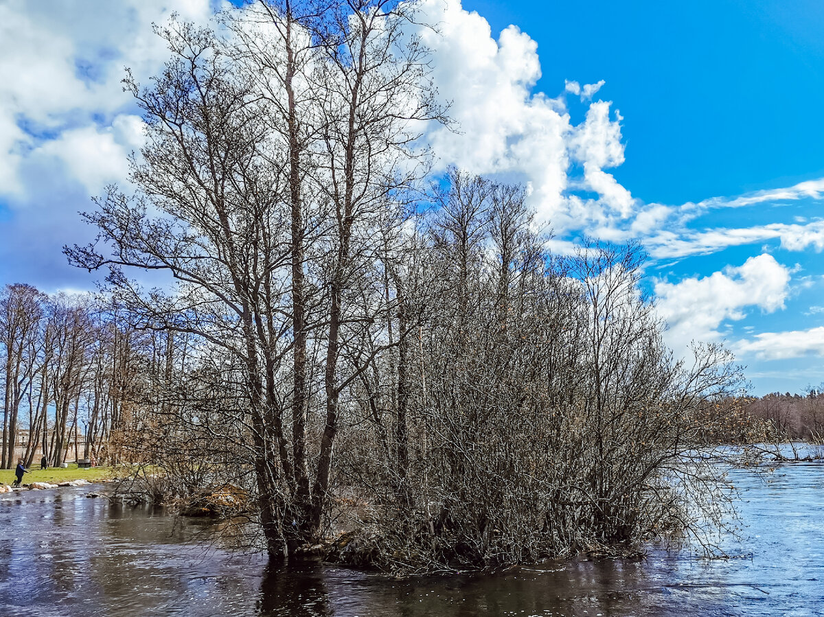 Набережная Приозерска 