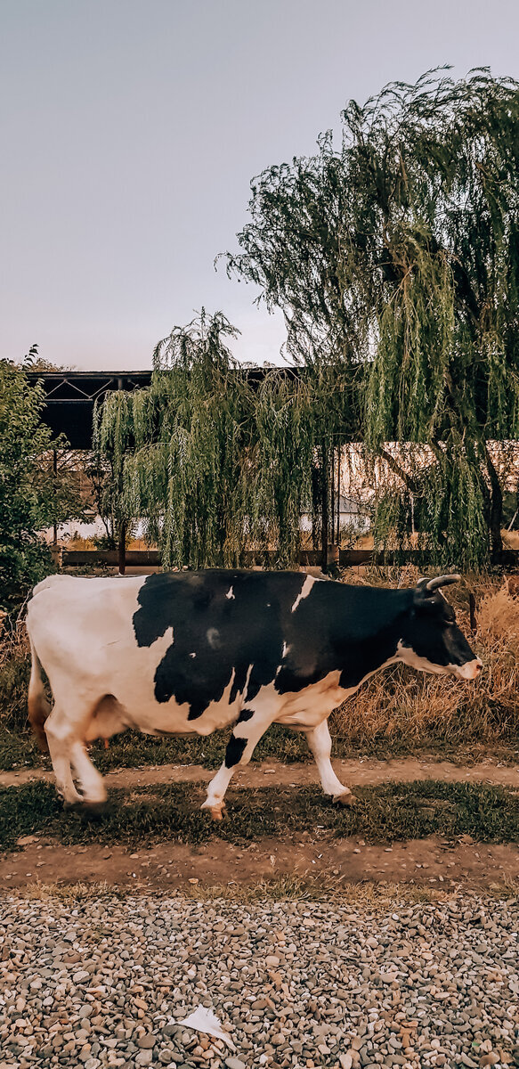 По пути в Минеральные воды