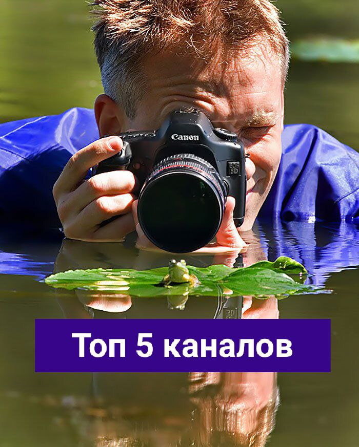 Изображение взято из открытых источников интернета.