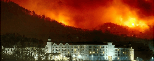 лесные пожары