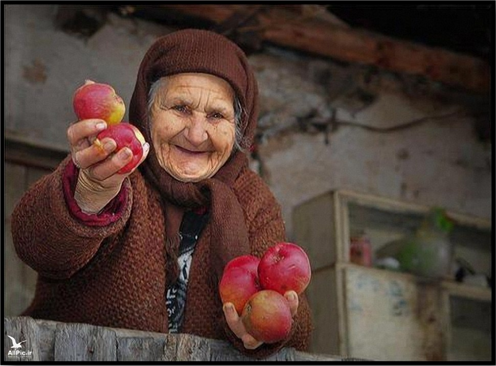 Фотоиллюстрация из свободного доступа в интернете.