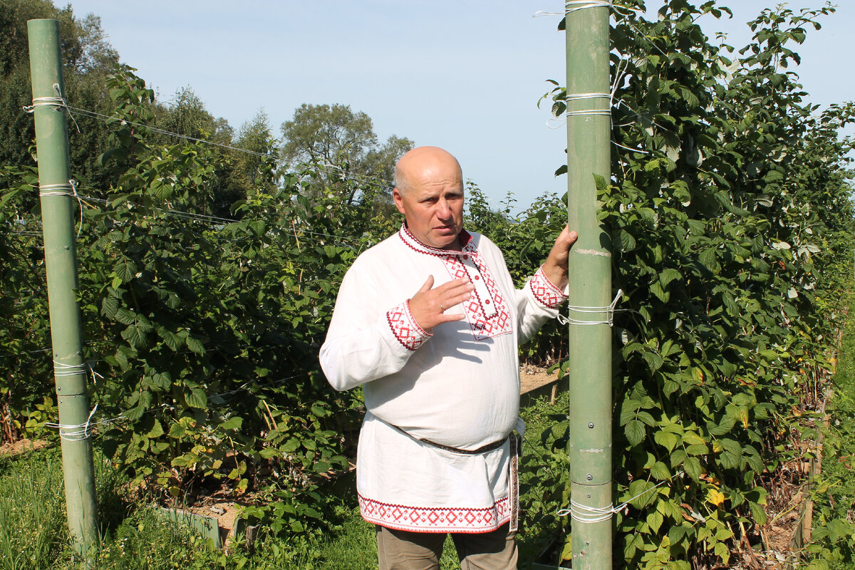 Фото: Континент-тур