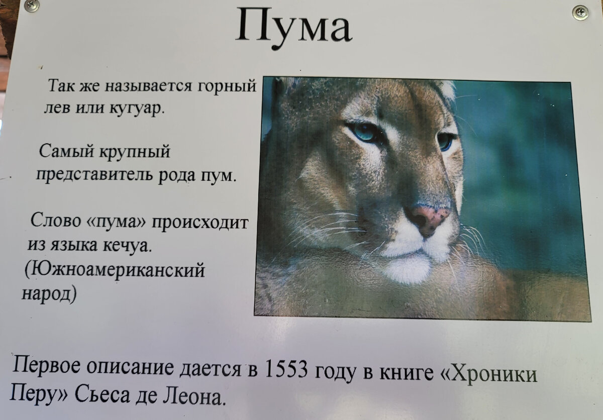 Берлинский зоопарк слоновник. Зоопарк 9. Зоопарк 9 февраля. Домик зоопарк. Зоопарк 9 февраля.