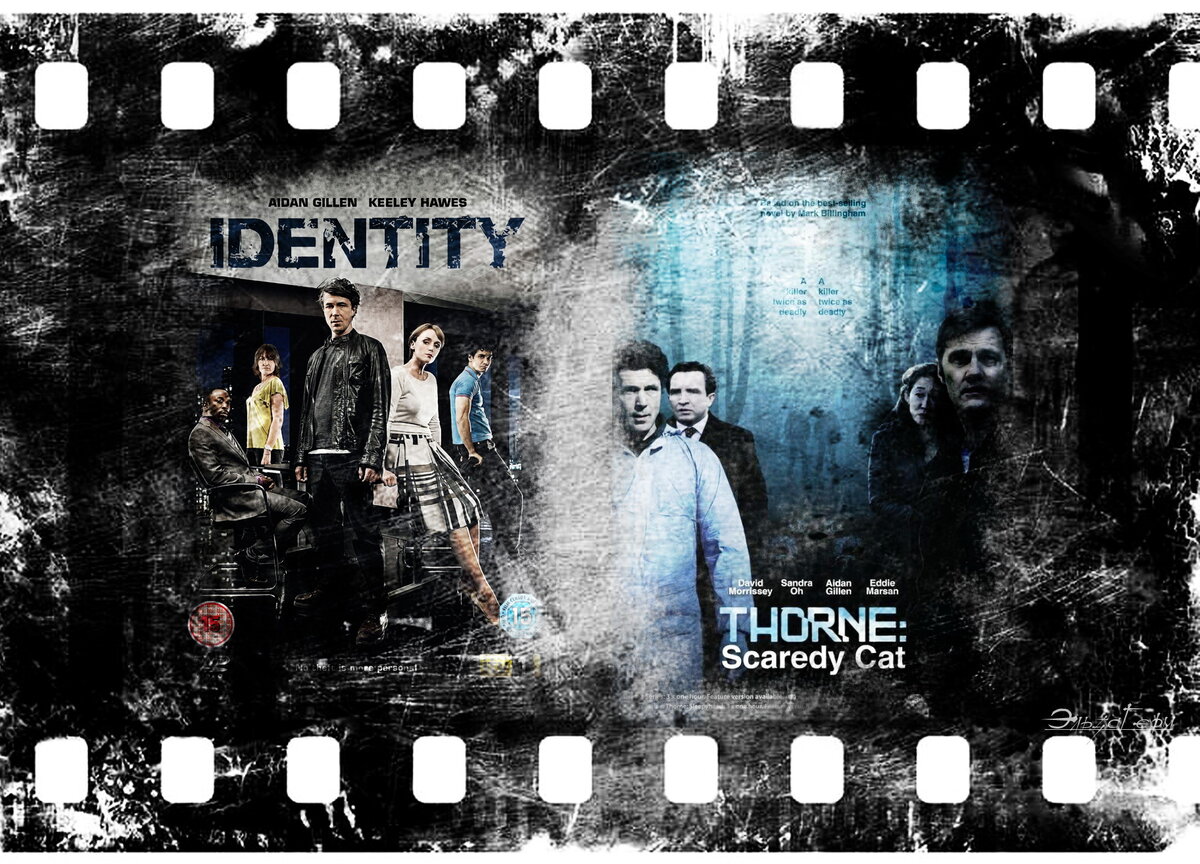 Identity, сериал, 2010 г.  Thorne, сериал, 2010 г. ФотоКоллаж Эльза Герм.